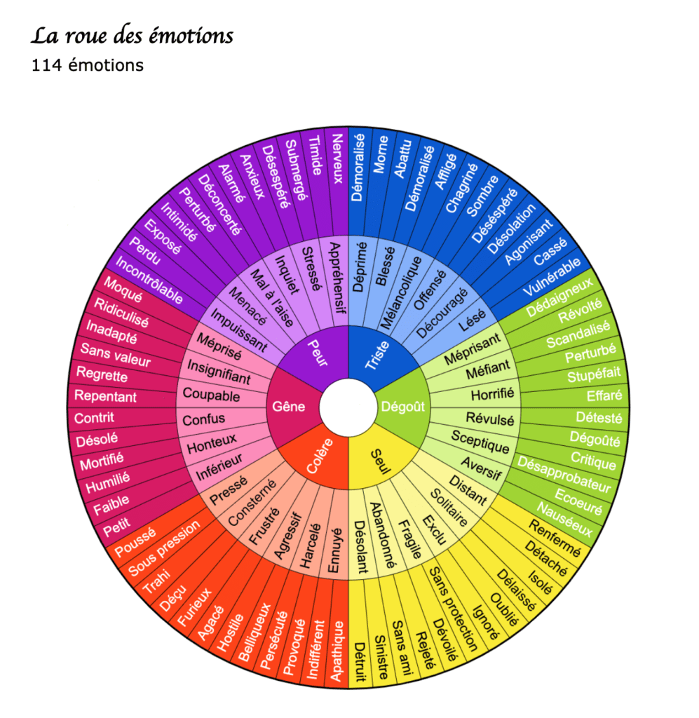 roue des émotions pdf